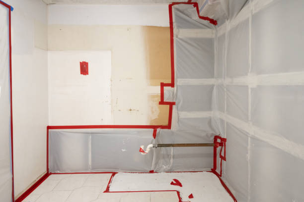Best Mold Prevention Services  in Vanceburg, KY
