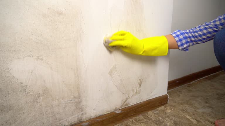 Best Crawl Space Mold Remediation  in Vanceburg, KY