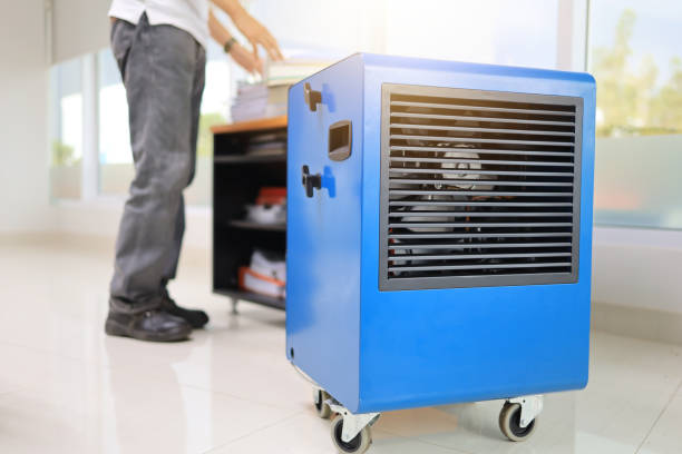 Best Mold Damage Restoration  in Vanceburg, KY