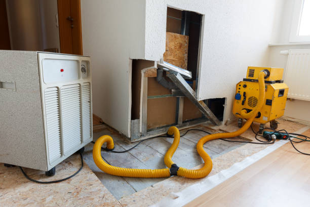 Best Emergency Mold Remediation  in Vanceburg, KY