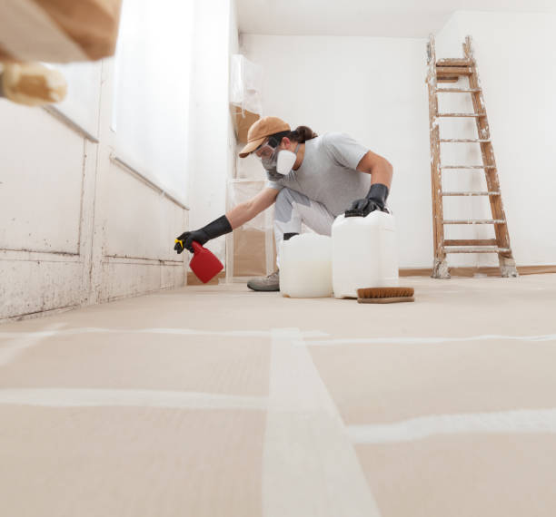 Best Black Mold Removal  in Vanceburg, KY